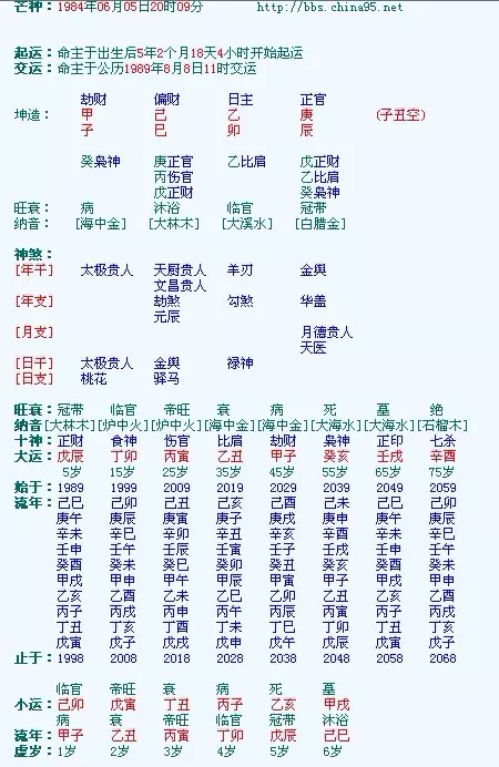 6、個人命盤詳解(免費版):命盤免費詳解