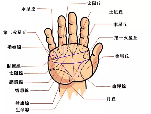 6、掃一掃測手相算命:手相掃一掃測試法