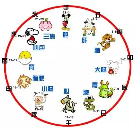 1、各個時候的屬相婚配表:12生肖對應的時候是什麼？