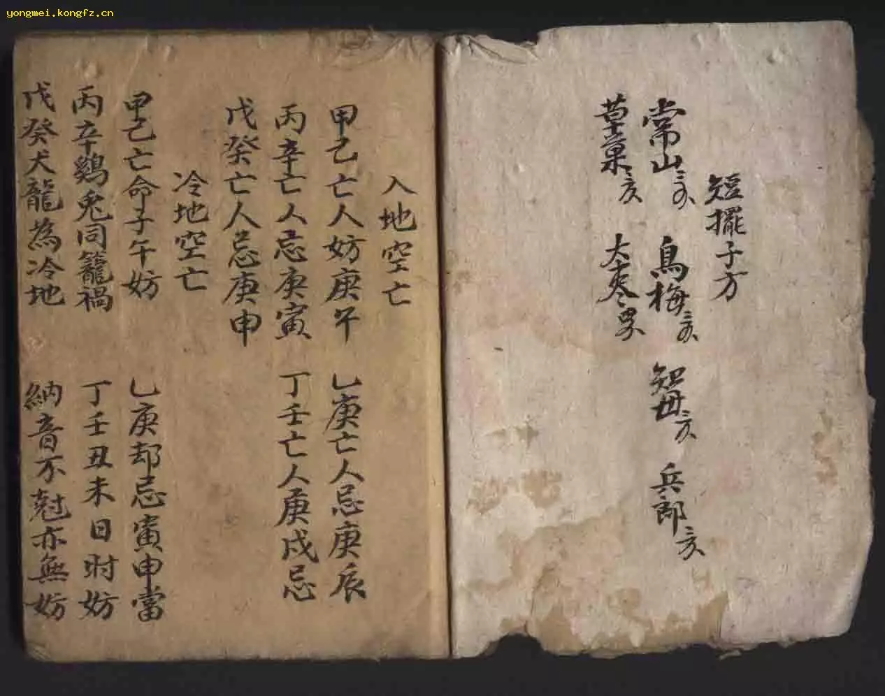 1、生肖屬羊的男子和什麼樣的屬性配對【本人是79年的】4月出生