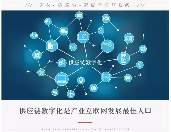 屬狗的最佳行業做什麼：屬狗的人適合做什麼行業