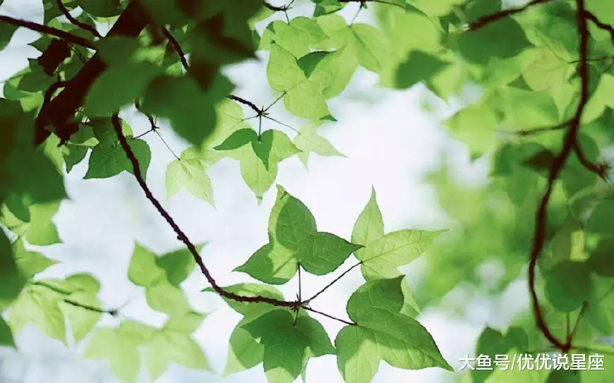 什麼屬相無憂無慮活到老：無憂無慮的生肖是哪些？