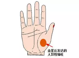 5、在線拍照手相測試:免費拍照片看手相