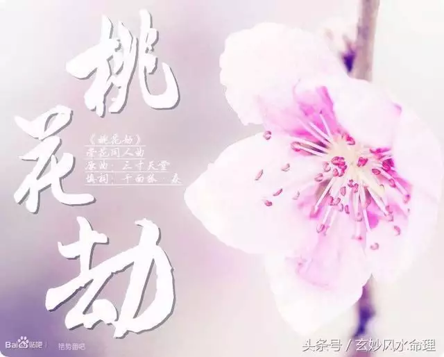 85年屬牛年桃花劫：屬牛的人，到底年運勢如何？