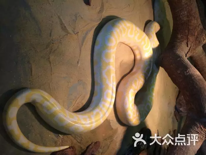 3、男87年女蛇的婚配合適嗎:年的兔和年的蛇相配嗎？