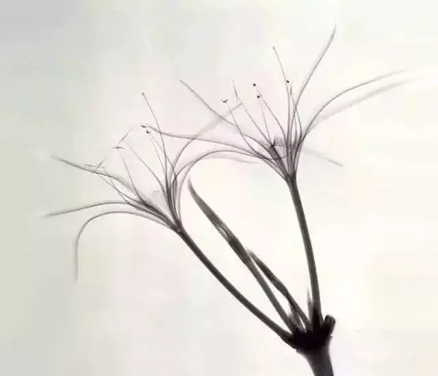 測哪一年會遇到命中註定的人：測哪一年會遇到命中註定的人