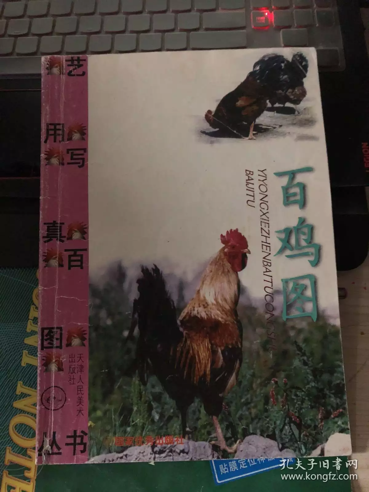 4、90年女馬與81男雞婚配嗎:81年8月的雞(女)與90年8月的馬(男)能配婚好嗎