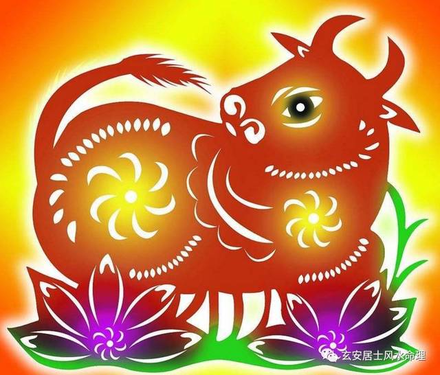 5、年屬牛今年會不會死:年，今年是多少歲？
