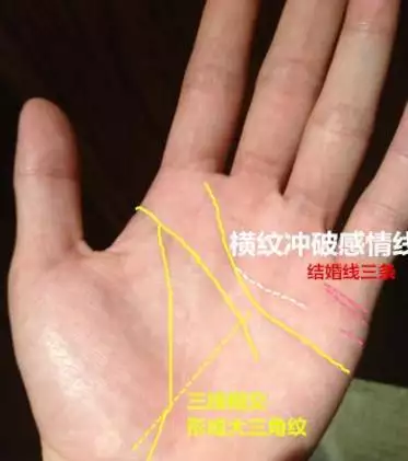 5、有兒子命的手相:手相看子嗣