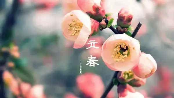 今日立春什麼屬相應避諱：立春禁忌什麼屬相