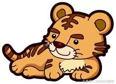 2、年屬虎今年運勢:年屬虎年運勢及運程