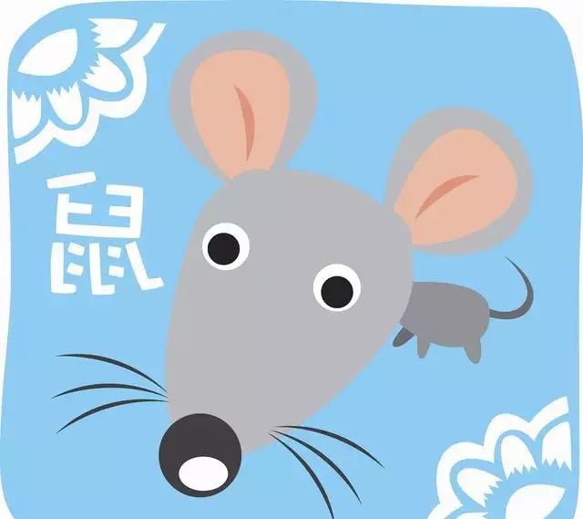 十二生肖哪個屬相是白色：十二生肖中那幾個肖叫什麼白肖