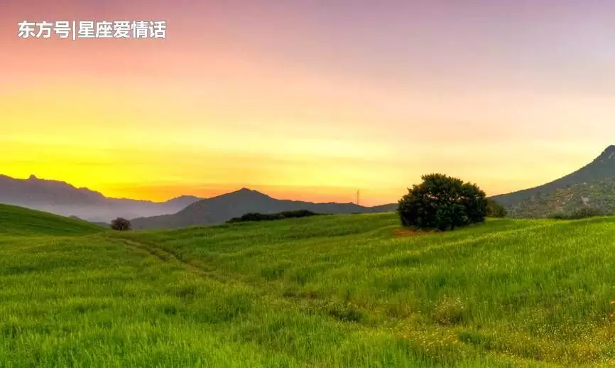 屬馬的今年的貴人屬相：我已婚 女 屬馬 今天抽籤抽到青龍白虎貴人簽是什麼意思？？？