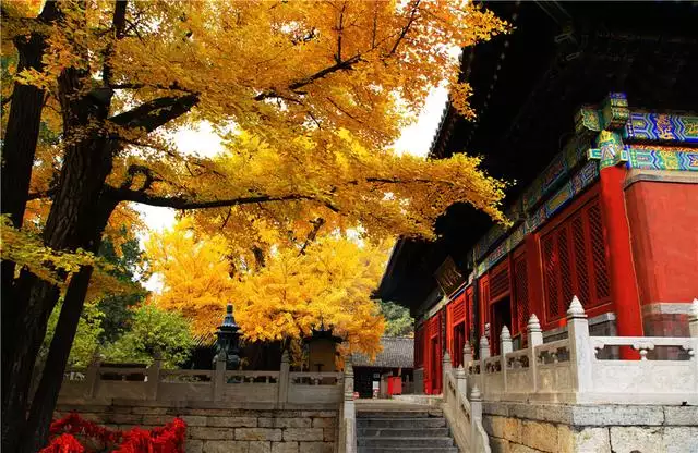 紅螺十二屬相分布圖：十二屬相排序
