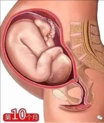 懷孕懷兒子有什麼癥狀：早孕懷男孩會是什麼癥狀