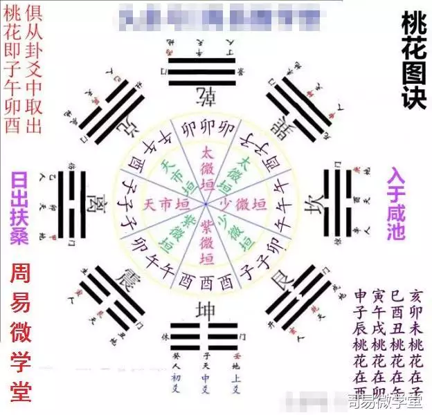 5、如何看八字命盤排盤:斗數八字排盤怎麼看 急 在線等