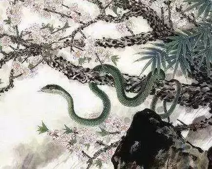 1、年的屬蛇是百年難遇:屬蛇人年全年運勢 女性