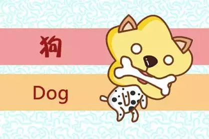 6、四十五屬什麼的几几年生人:四十五歲屬什的？幾年生的？