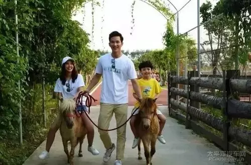4、十月馬跟十二月馬婚配:一月份馬和十二月牛相配嗎?