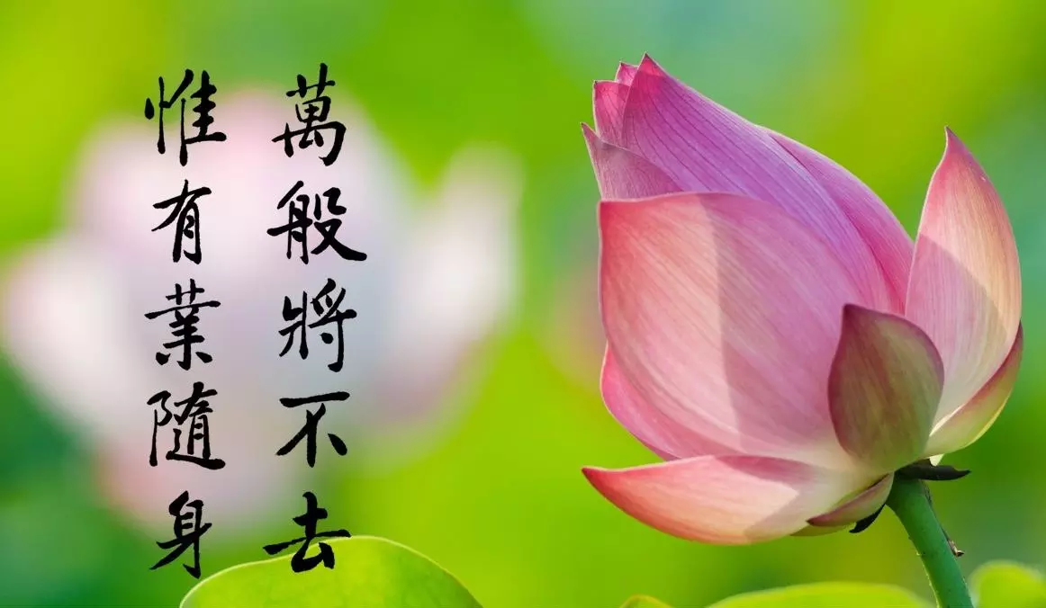 人善天不欺的三個屬相：是不是人善總會被人欺啊？