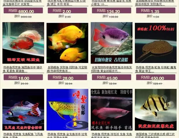3、觀賞魚招財貓吃什麼東西:招財貓魚和地圖魚放一起應該吃什麼食物