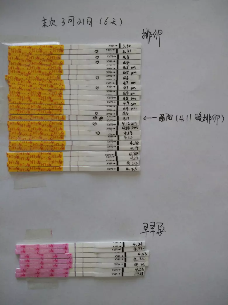 想生兒子有什麼方法，真真的很急啊，已經第三胎了