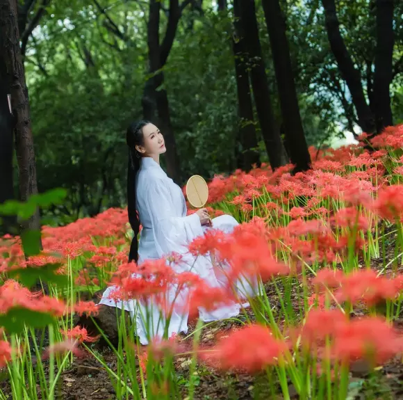 屬豬的人可以戴老鼠屬相嗎：豬年配那個生肖最好？