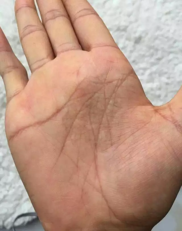 2、屬兔人一生三大坎:年屬兔的命運