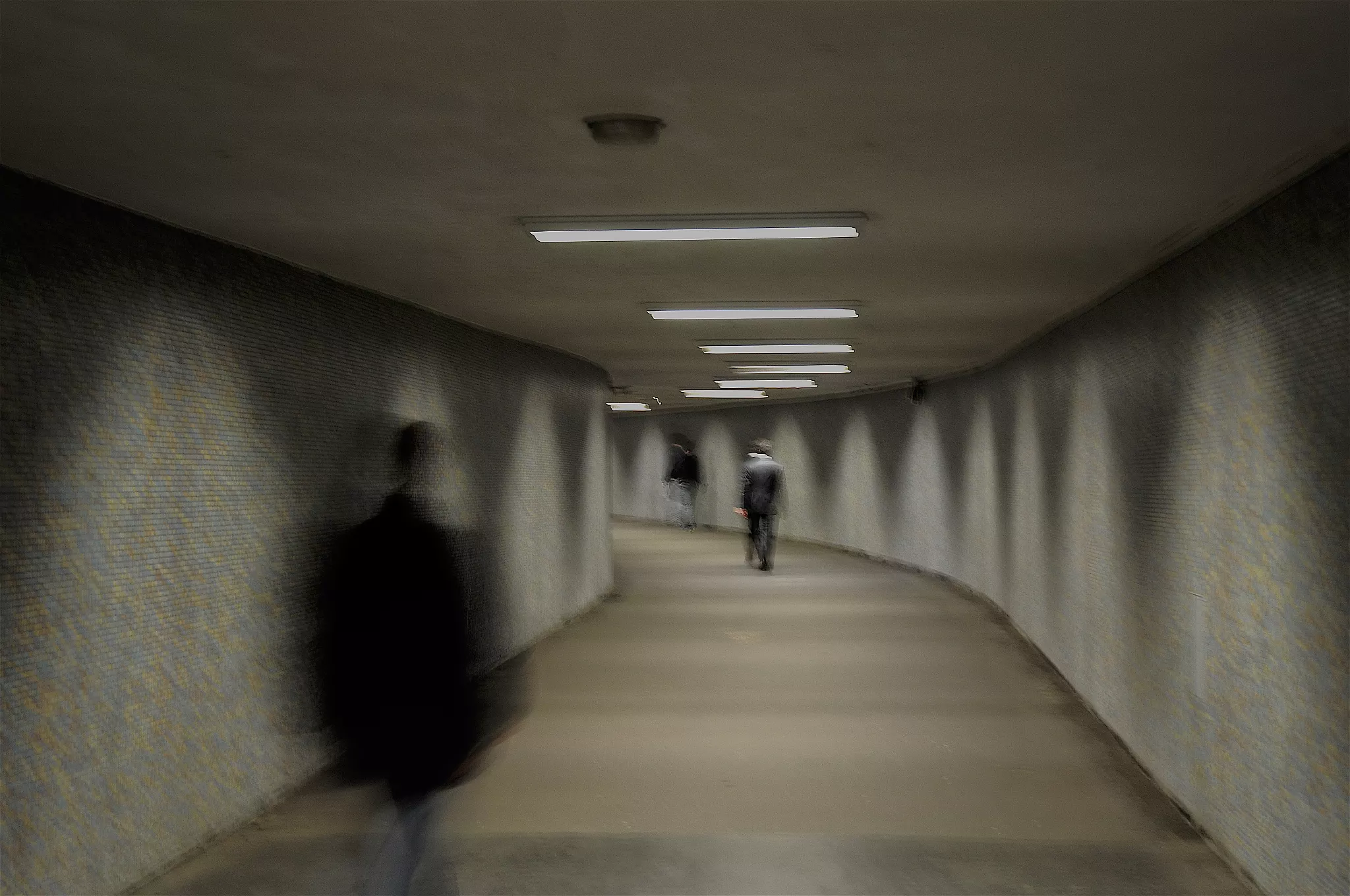 最窮的一個省是哪一個省 中國為什麼不發展東北