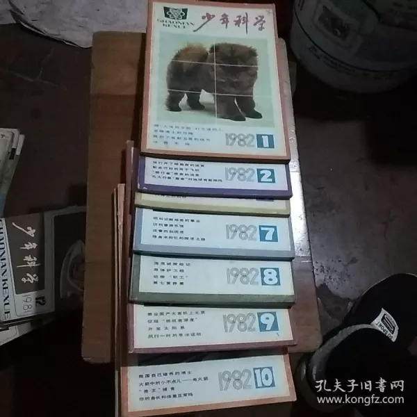 3、我老公79年屬羊我81年屬雞我們倆配嗎？我們的事業財運若何？