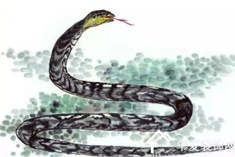 3、年屬蛇一生有幾次婚姻:年屬蛇人的婚姻