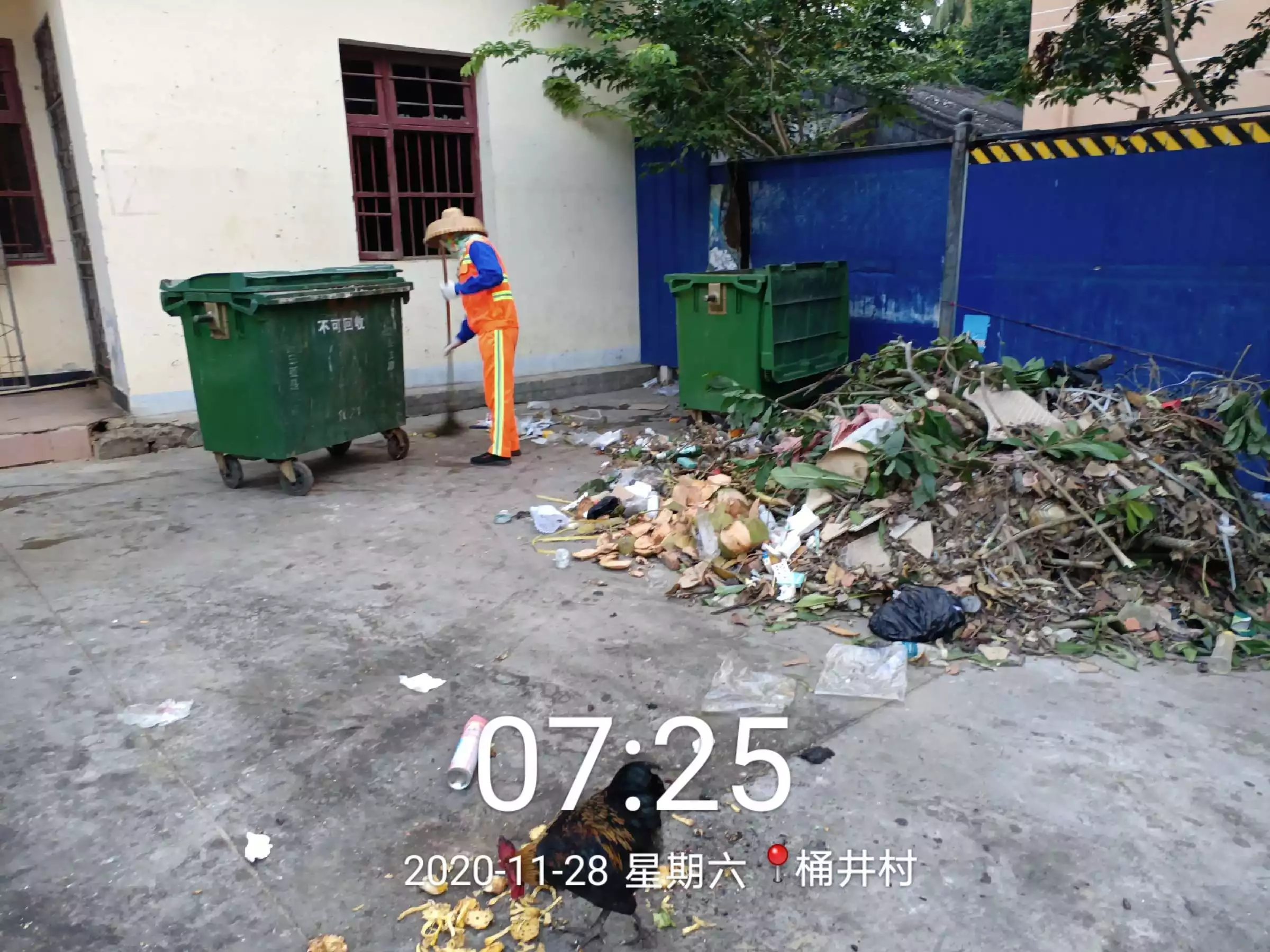 月5日三合屬相：今日屬相與三合