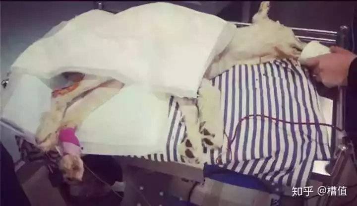 2、為什麼近親結婚增加的是隱性遺傳病的發病風險，而不是顯性