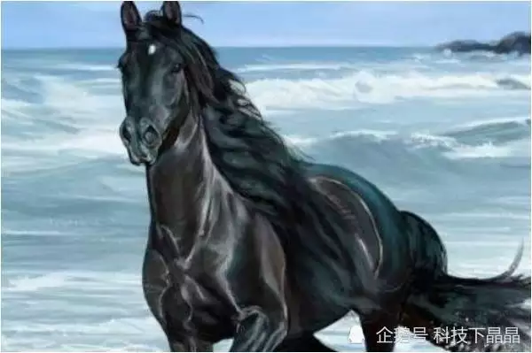 1、與年屬馬水婚配嗎:年屬馬的和年屬馬的相配嗎八字和嗎？