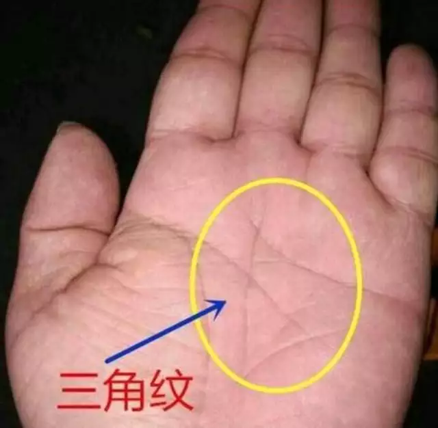 怎麼從手相上看一生有幾個孩子：怎樣手相看出一輩子生幾個小孩