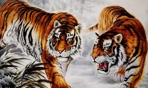 我屬猴，是孩子的母親，女兒屬虎，聽說虎猴相衝，真的嗎？會有什麼相衝？