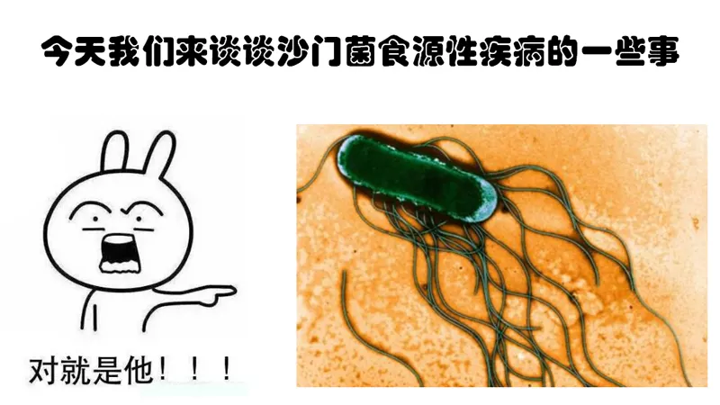 沙門氏菌食物中的臨床表現：沙門氏菌食物中是什麼樣的？
