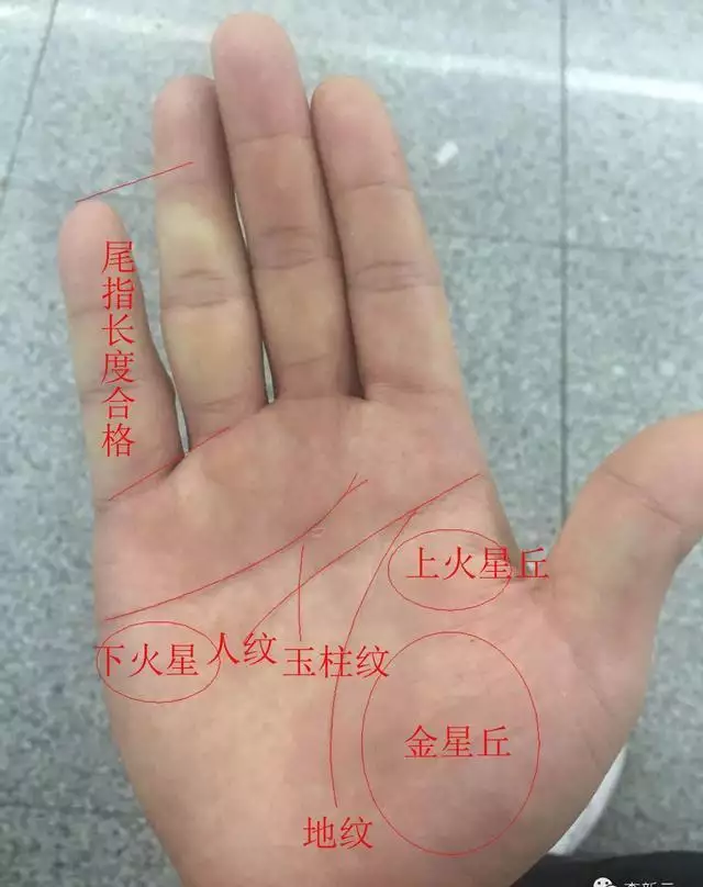 2、關於面容適合婚配的詞語:關於出嫁的詞語