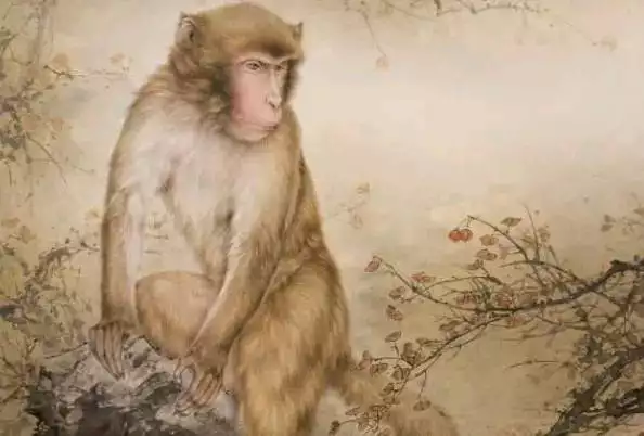 1、68年屬猴人的災難年齡:屬猴的年齡表