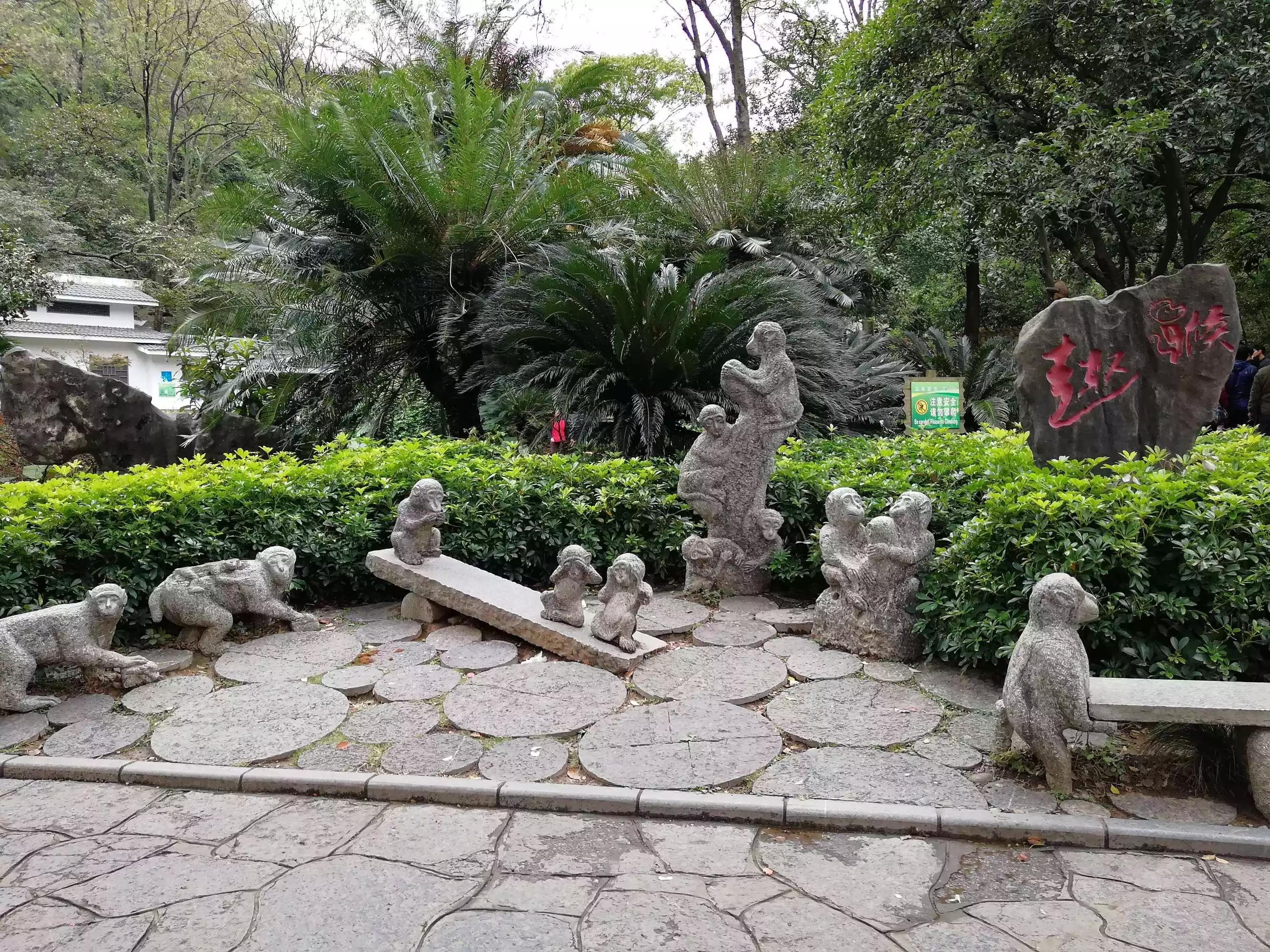 4、桂林年猴婚配:68年屬猴男的婚配屬什麼的