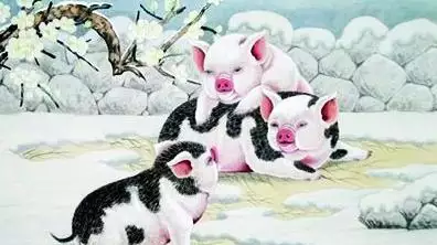 屬相豬的歷史人物都是誰：十二生肖對應的歷史人物都有哪些