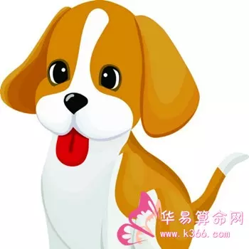 女孩屬馬最佳配偶屬相：屬馬女和什麼屬相最配婚姻