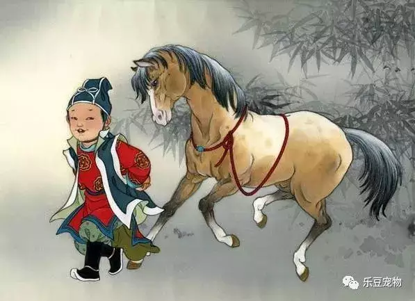 年婚配什麼生肖最合適：屬老鼠和什麼屬相相配？