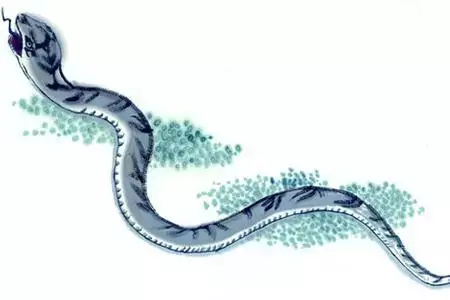 2、屬蛇人32歲大劫:屬蛇人今年運氣怎麼樣？