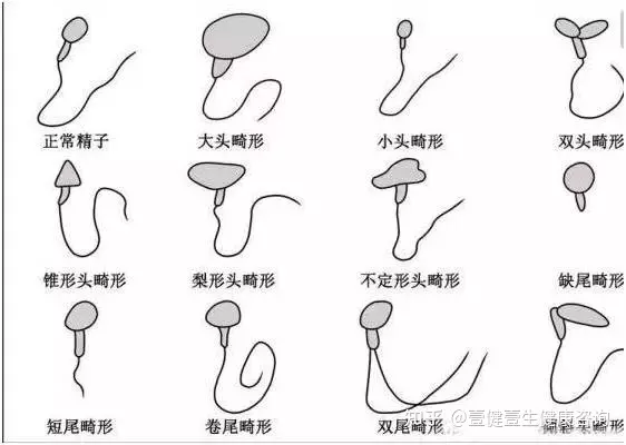 8、怎麼知道有沒有進入:怎麼確認進入