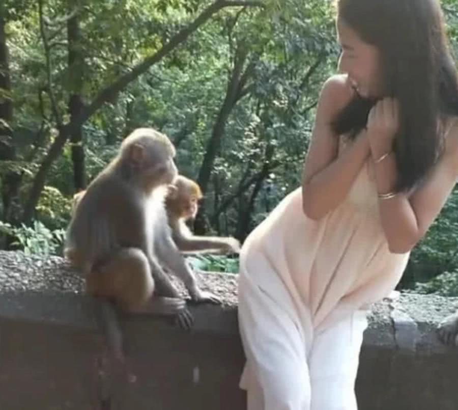 1、80年猴男和80猴女能婚配嗎:75年屬兔男和80年屬猴女可以婚配嗎?