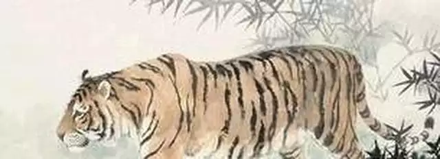 1、屬虎的人出生年份:年9月出三午時12點出生屬虎的男人什麼命?