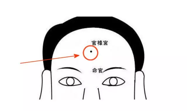 女人旺事業的名字姓任：姓任女孩起什麼名字好？