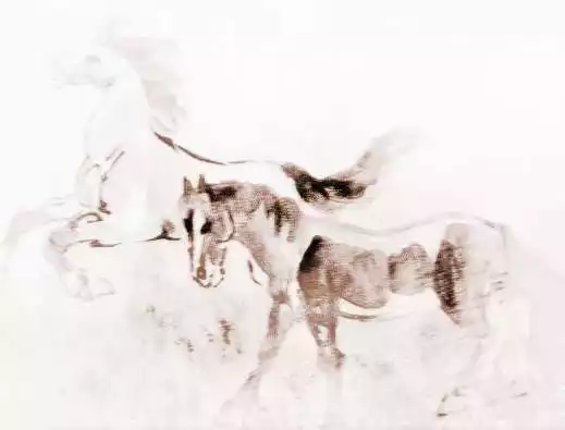 1、年屬馬的虛歲:年屬馬的多大年齡
