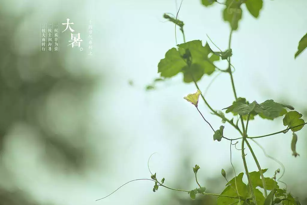 3、查一下明天的日子好嗎:查一下明天是提車的好日子嗎